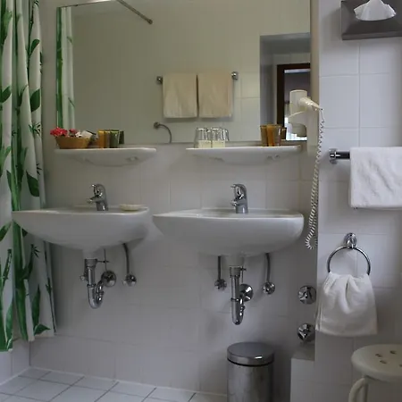 Park Ruedesheim Hotel